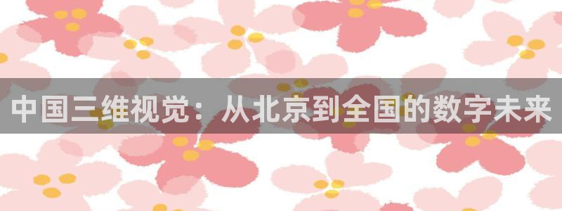 中国三维视觉：从北京到全国的数字未来