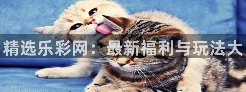 聚彩2平台：精选乐彩网：最新福利与玩法大