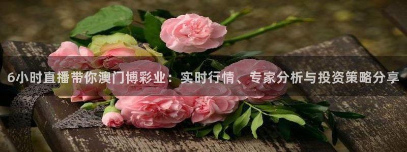 聚彩体育凯捷平台代理：6小时直播带你澳门博彩业：实时行情、专家分析与投资策略分享